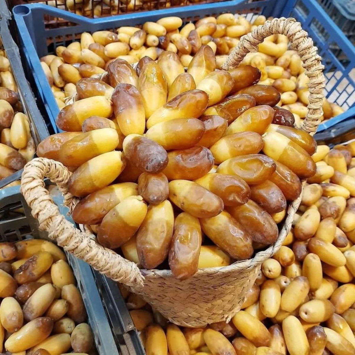 Dates