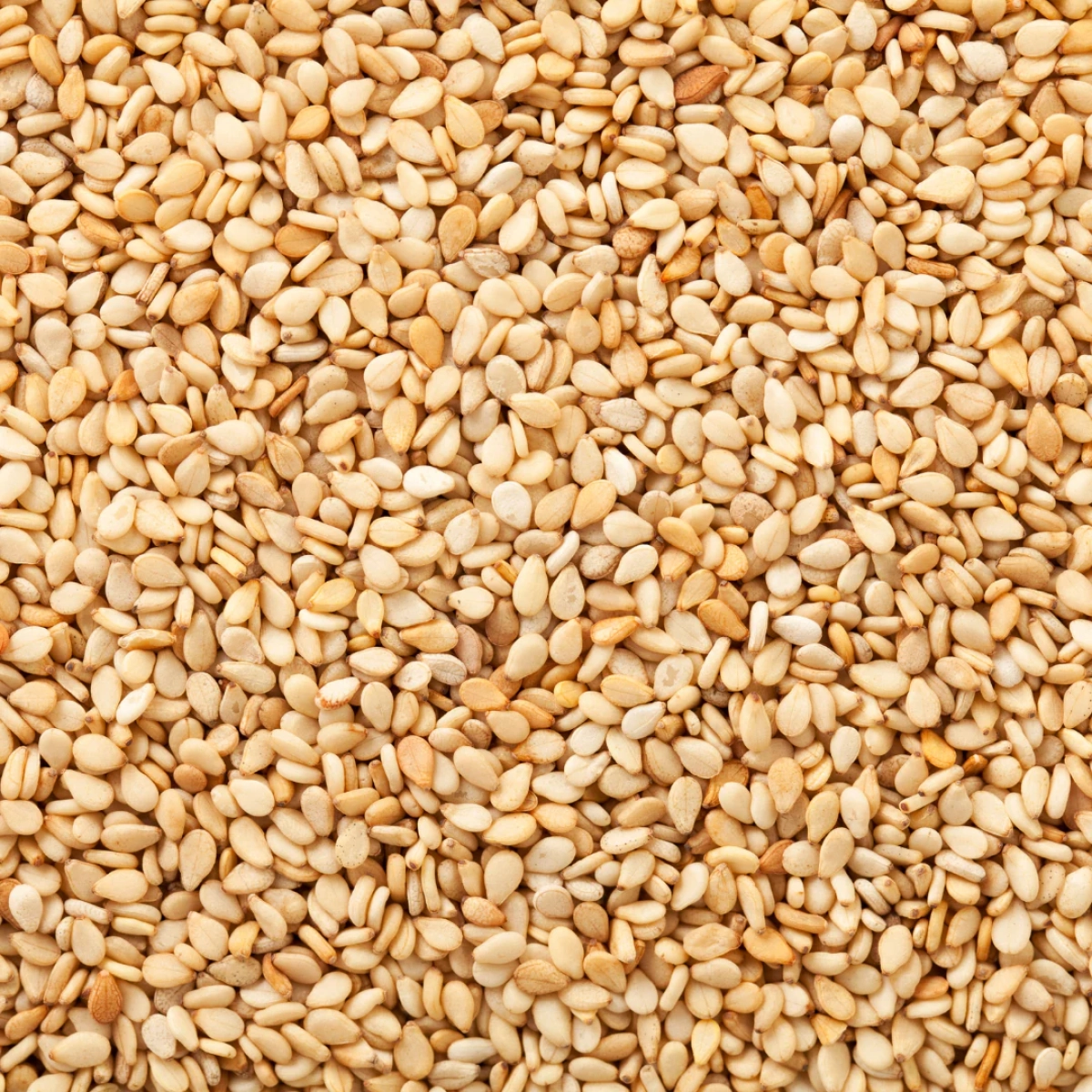 Natural Sesame Seeds