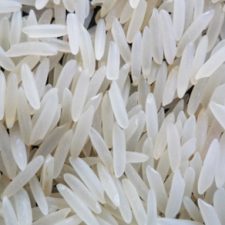 PK 385 Basmati Rice